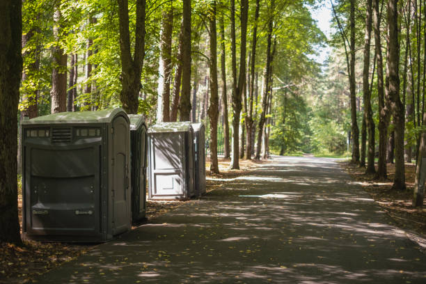 Best Wedding porta potty rental  in De Pue, IL